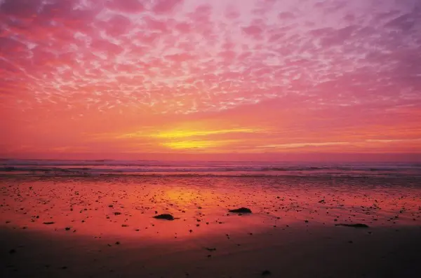 Cardiff by the Sea, Encinitas & Solana Beach: North County's Hidden Coastal Gems