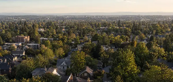 NE Portland: Summary ,Stacey Cabrera