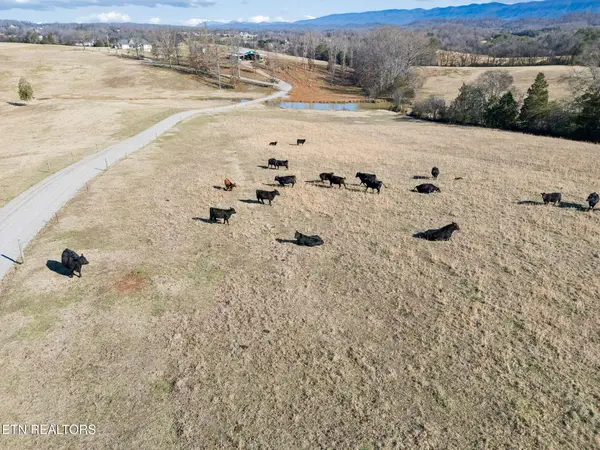 1250 Brick Mill Rd, Maryville, TN 37801