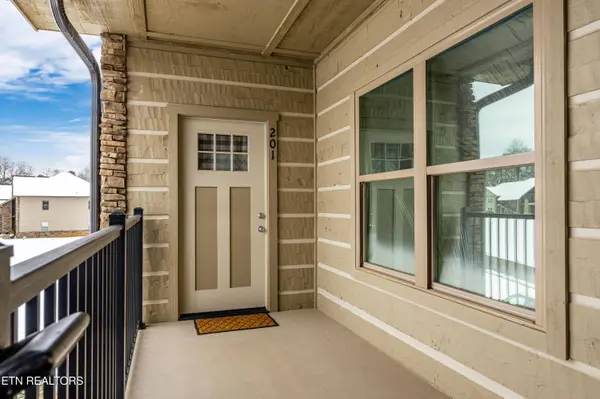 326 Shooting Star LOOP #201, Townsend, TN 37882