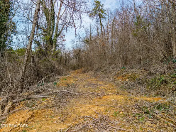 6915 TN-360, Tellico Plains, TN 37385