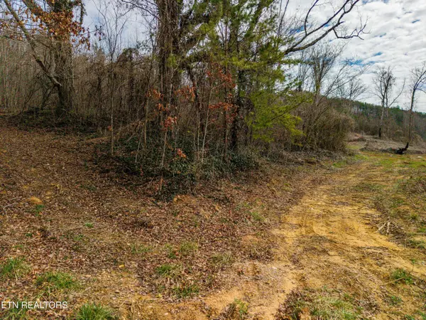 6915 TN-360, Tellico Plains, TN 37385