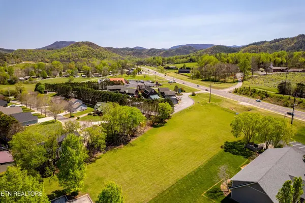 8017 Lamar Alex Pkwy, Townsend, TN 37882