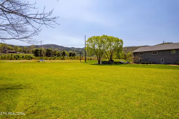 8017 Lamar Alex Pkwy, Townsend, TN 37882