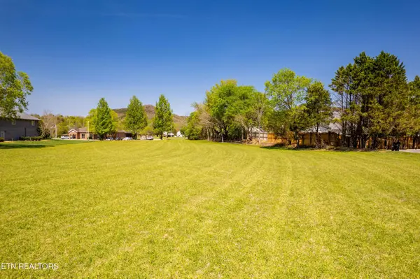 8017 Lamar Alex Pkwy, Townsend, TN 37882