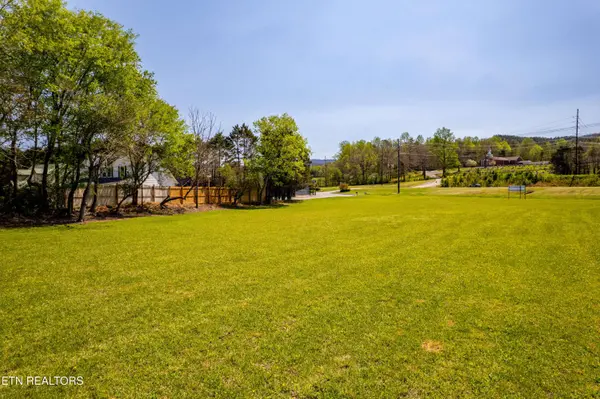 8017 Lamar Alex Pkwy, Townsend, TN 37882