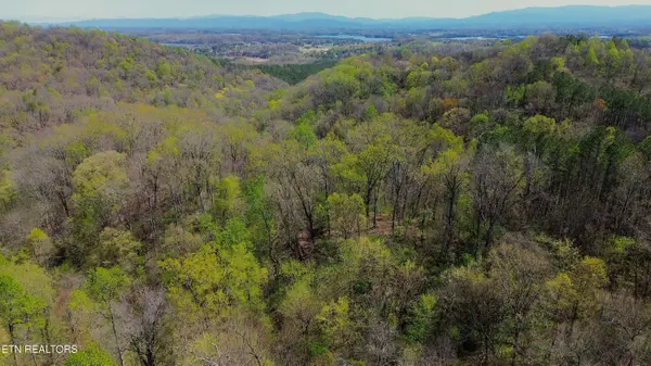 0 Knob Rd, Vonore, TN 37885