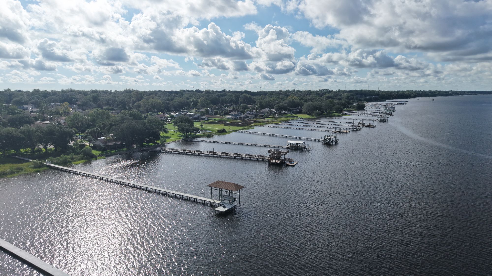 Aerial view of waterfront homes, tree-lined shoreline and docks in Arlington, Jacksonville.