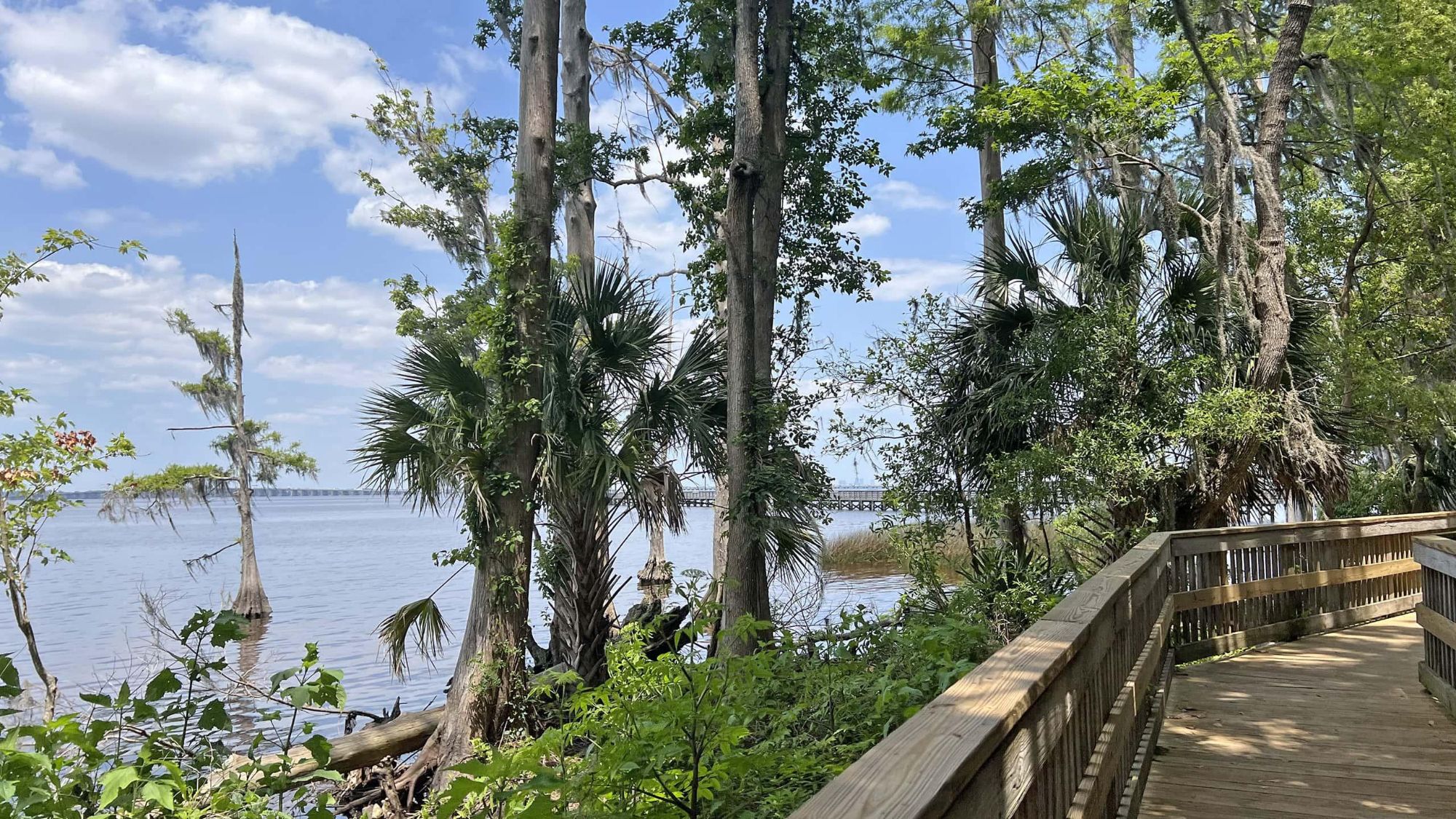 river view of the St Johns River, Mandarin, Jacksonville, FL