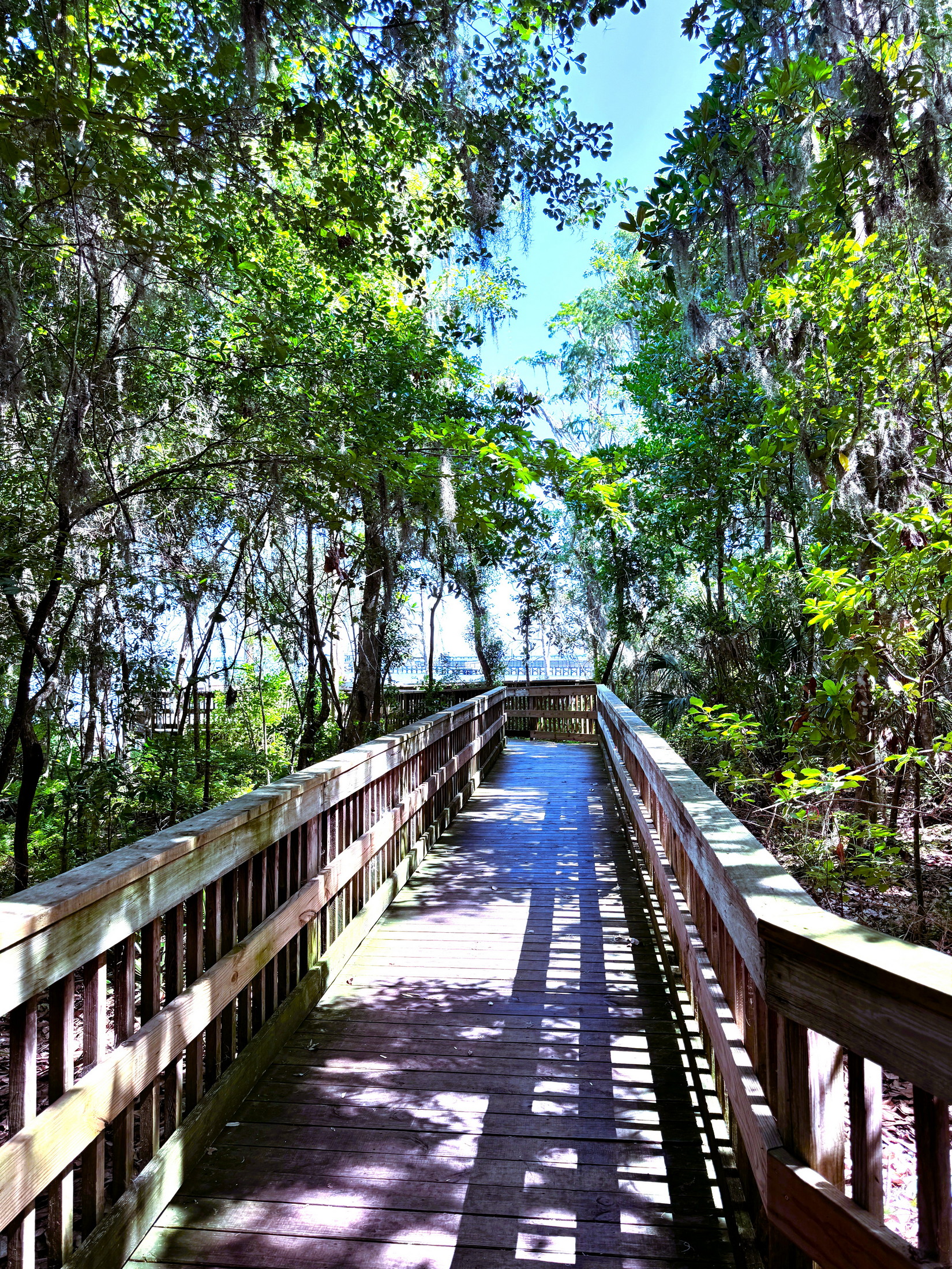 Wooden boardwalk overlooking the St. Johns River in Mandarin, Jacksonville, Florida, surrounded by mature trees and scenic waterfront views.