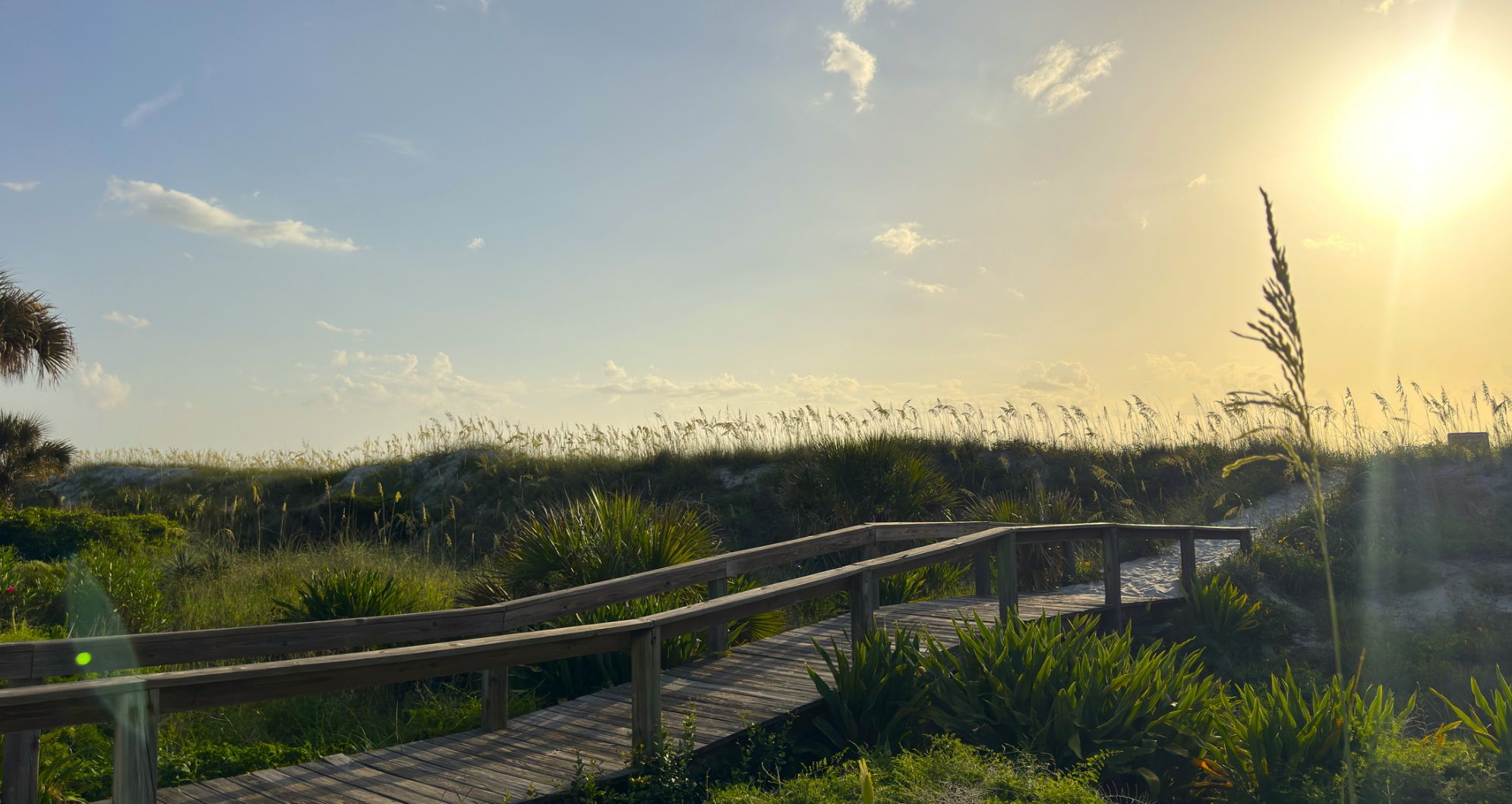 Wooden boardwalk winding through the coastal dunes toward the Atlantic Ocean at sunrise in Jacksonville Beach, Florida, showcasing the area's natural beauty and coastal lifestyle.