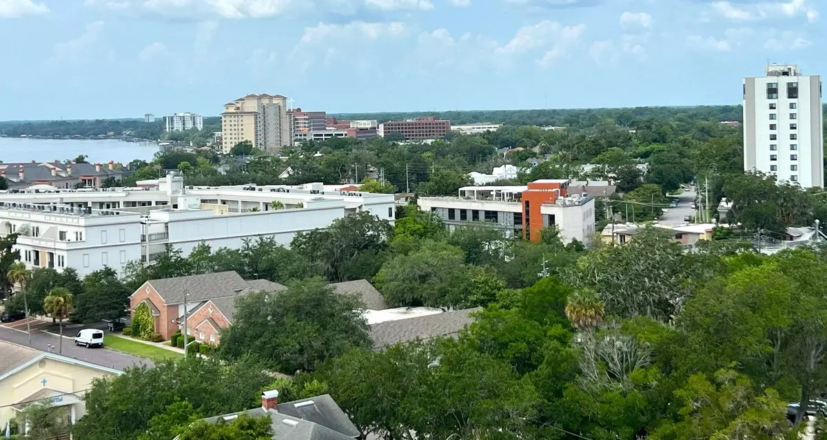 Elevated view of Riverside, Jacksonville, showing mature tree canopy, neighborhood buildings and the St. Johns River.