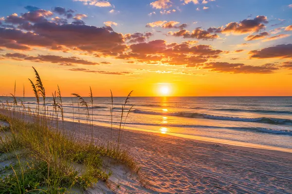 "Sunset over the Atlantic Ocean near Jacksonville Beach, Florida with sea oats, sandy shoreline, and coastal lifestyle scenery."