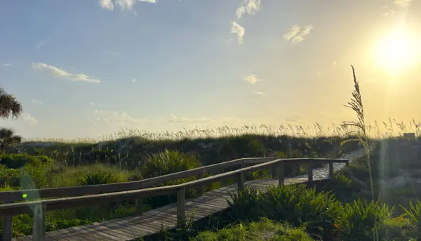 Wooden boardwalk winding through the coastal dunes toward the Atlantic Ocean at sunrise in Jacksonville Beach, Florida, showcasing the area's natural beauty and coastal lifestyle.