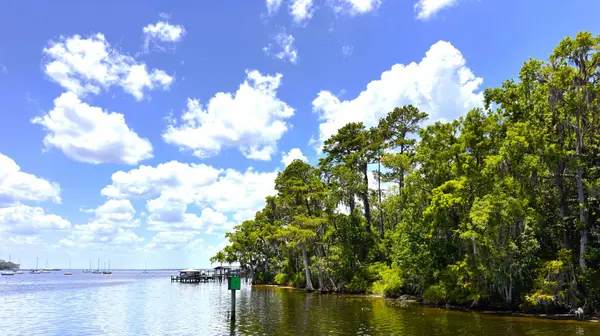 Scenic view of the St. Johns River in Mandarin, Jacksonville, Florida, featuring lush riverfront trees, Spanish moss, private docks, and peaceful waterfront scenery.