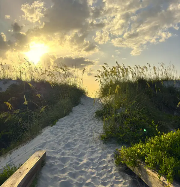 Living in Jacksonville Beach: A Complete Guide to One of Northeast Florida's Most Popular Coastal Communities