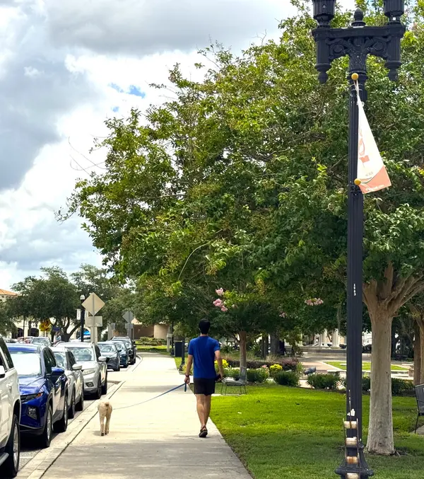 Pedestrian-friendly streets and sidewalks in San Marco, Jacksonville.