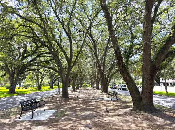Neighborhood park surrounded by mature oak trees in San Marco.