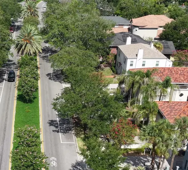 Aerial view of tree-lined San Marco residential streets, established homes and a landscaped median in Jacksonville.