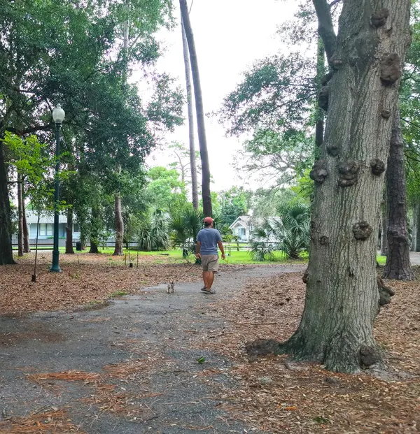 Wooded walking path beneath mature trees in Boone Park in Avondale, Jacksonville, Florida.