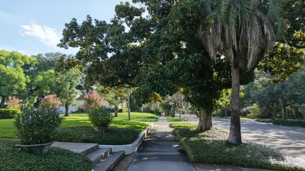 Shaded sidewalk and oak-lined residential street in Avondale, Jacksonville, Florida.