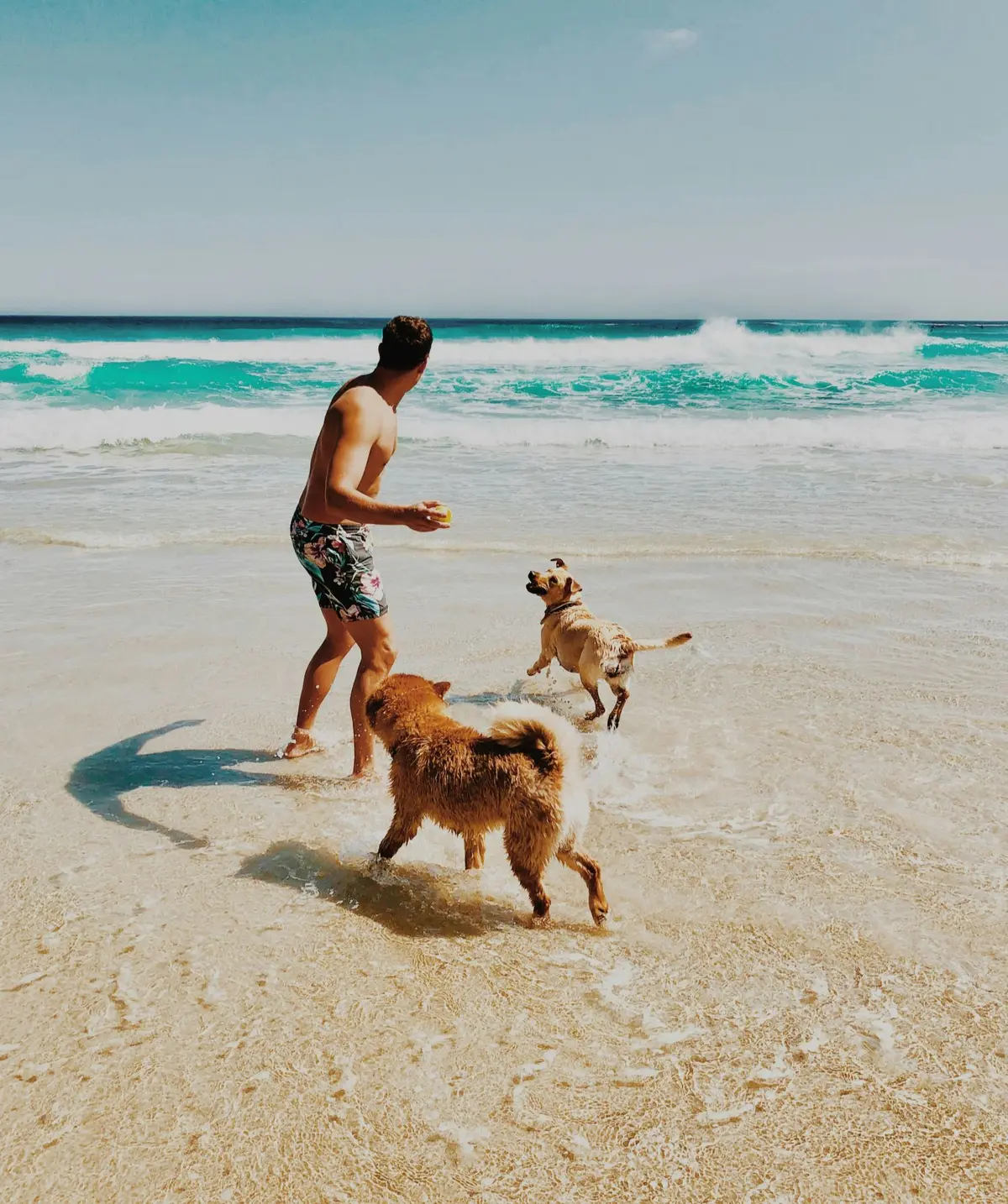 ian-badenhorst-sFT488ydkm0-unsplash