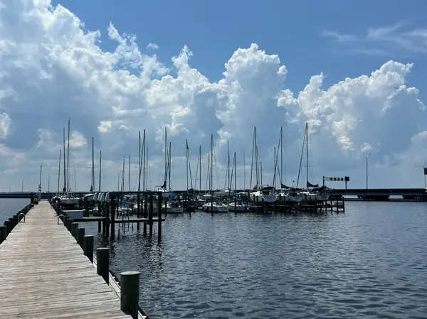 feature image of Thinking About Moving to Orange Park, Florida?