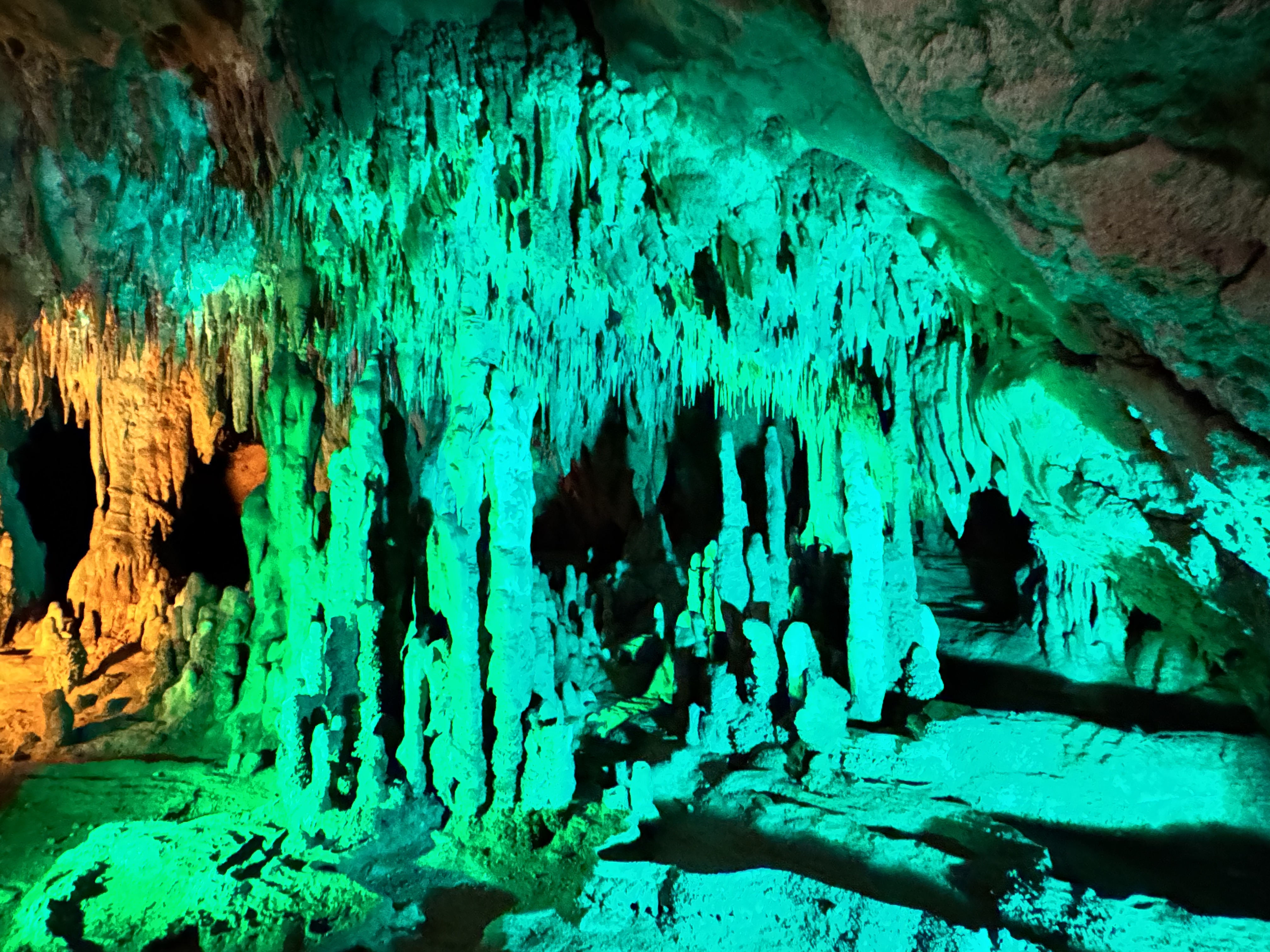 Family exploring Florida Caverns State Park near Marianna Florida