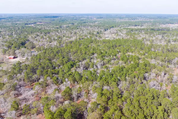 6698 Pine Shadows RD, Cleveland, TX 77328