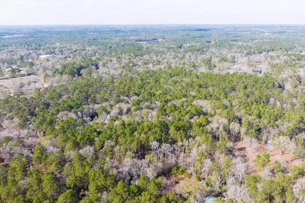 6698 Pine Shadows RD, Cleveland, TX 77328