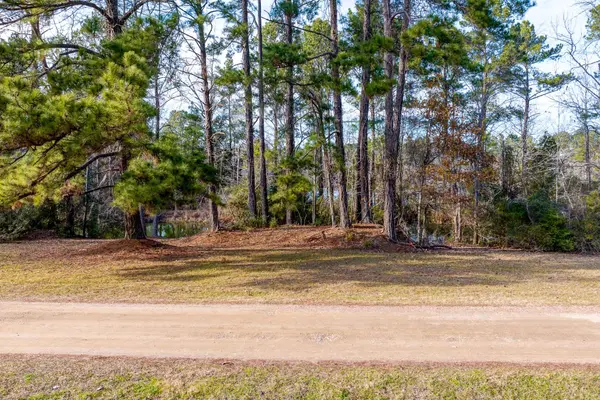 53 Smith LOOP N, Cleveland, TX 77327