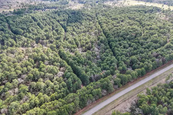 0 Hickory Bow Lane, Hempstead, TX 77445