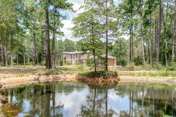 22932 Nichols Sawmill RD, Hockley, TX 77447