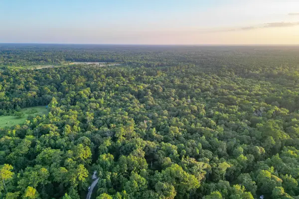 00 County Road 3612, Splendora, TX 77372
