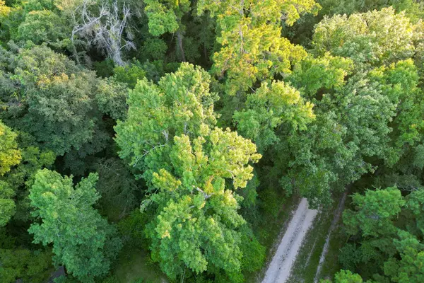 00 County Road 3612, Splendora, TX 77372