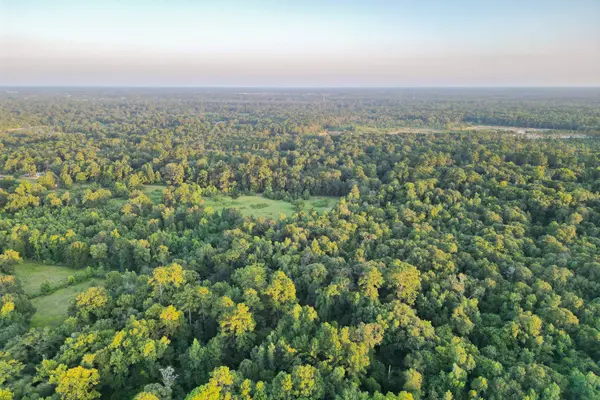 00 County Road 3612, Splendora, TX 77372