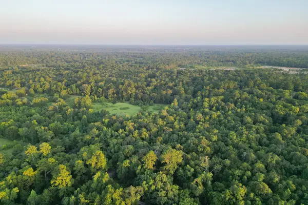 00 County Road 3612, Splendora, TX 77372