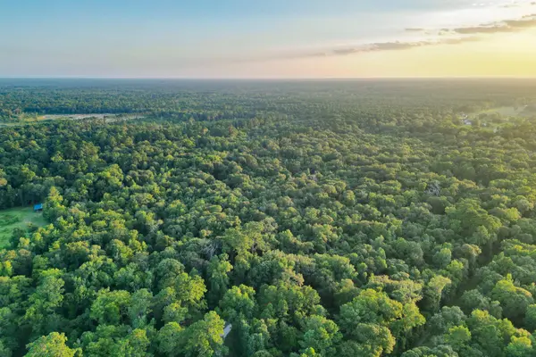 00 County Road 3612, Splendora, TX 77372