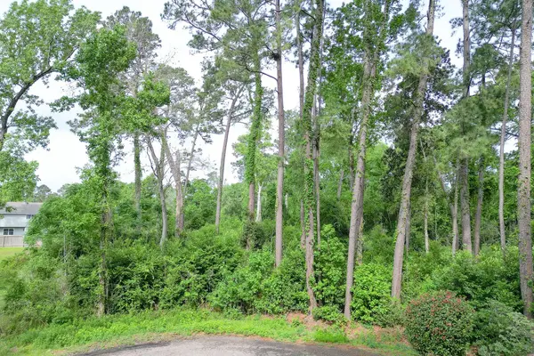 0 Roanoke DR, Conroe, TX 77302