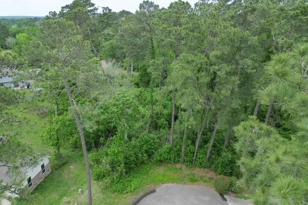 0 Roanoke DR, Conroe, TX 77302