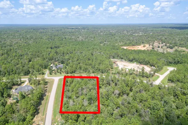 10692 Ruger RD, Willis, TX 77378