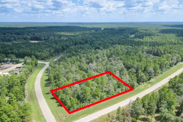 10692 Ruger RD, Willis, TX 77378