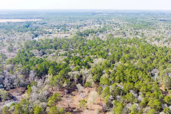 6698 Pine Shadows RD, Cleveland, TX 77328