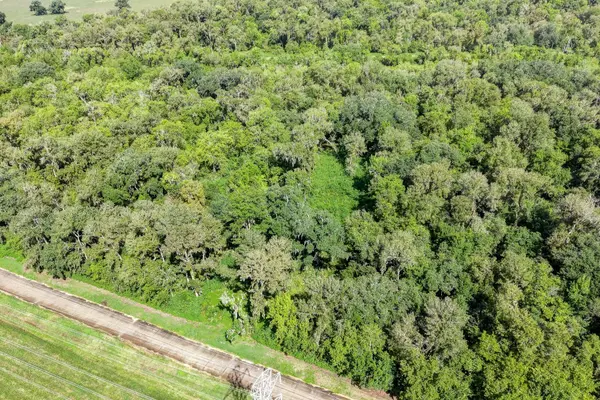 248 Middle Bayou TRL, Angleton, TX 77515