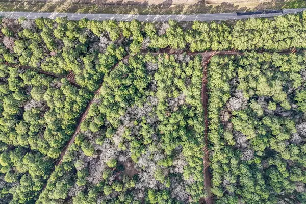 0 Hickory Bow Lane, Hempstead, TX 77445