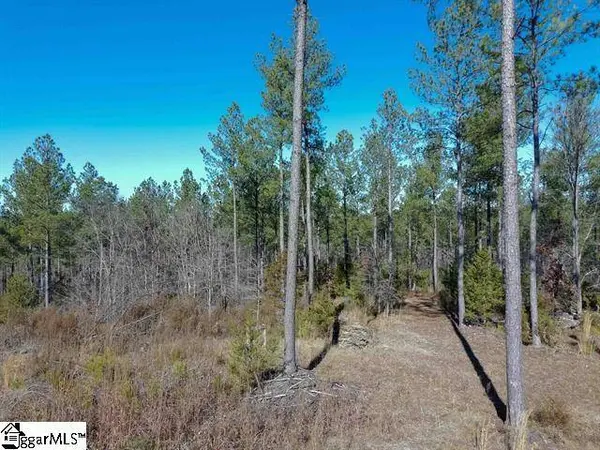 0 Fields Road, Pauline, SC 29374