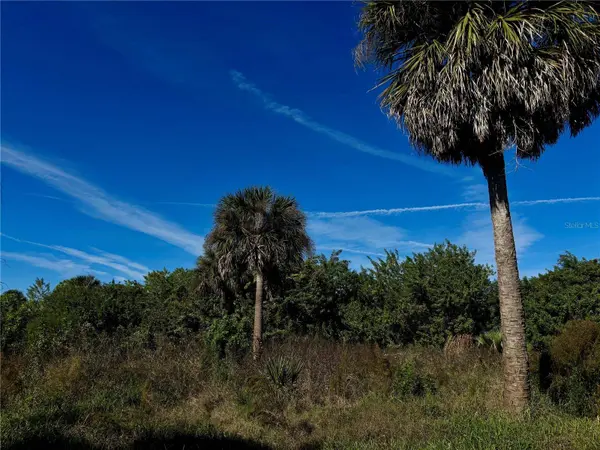 13349 TOLMAN AVE, Port Charlotte, FL 33953