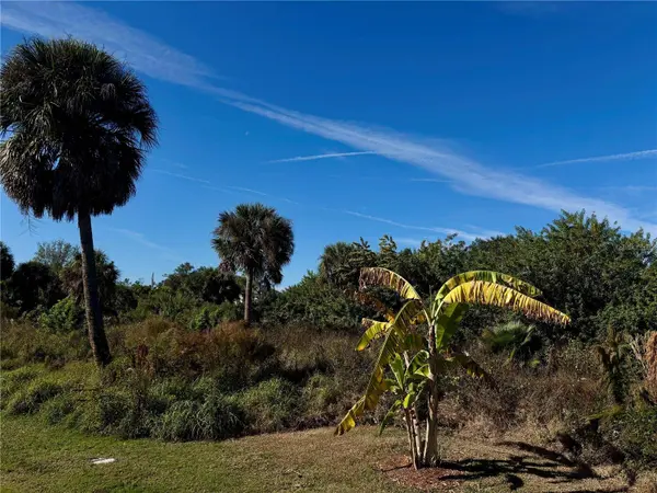 13349 TOLMAN AVE, Port Charlotte, FL 33953