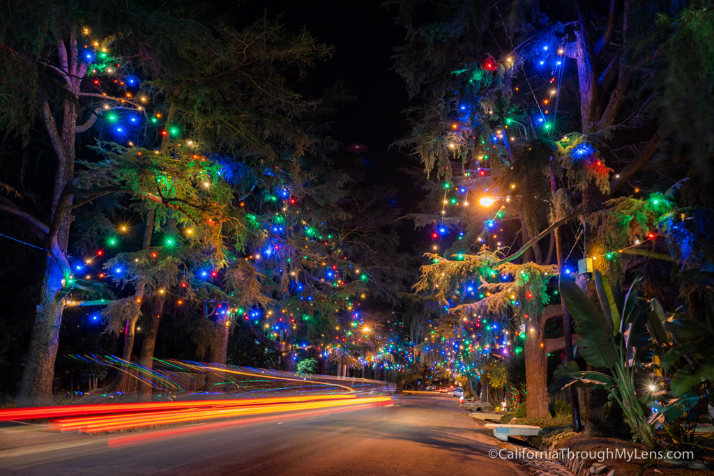 christmas-tree-lane-11