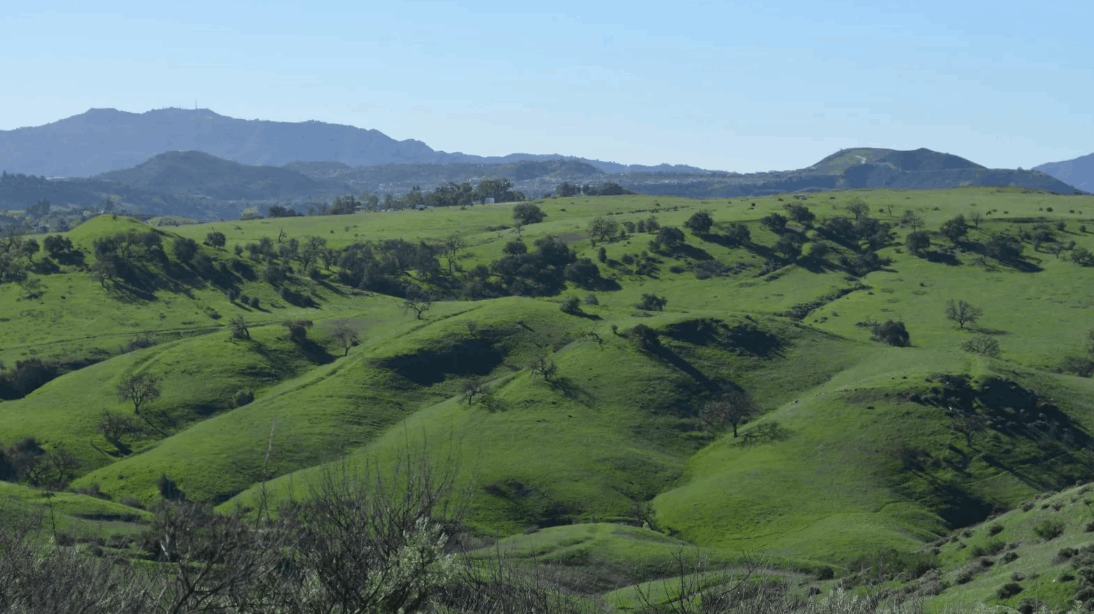 Screenshot 2026-04-29 at 5.50.57 AM